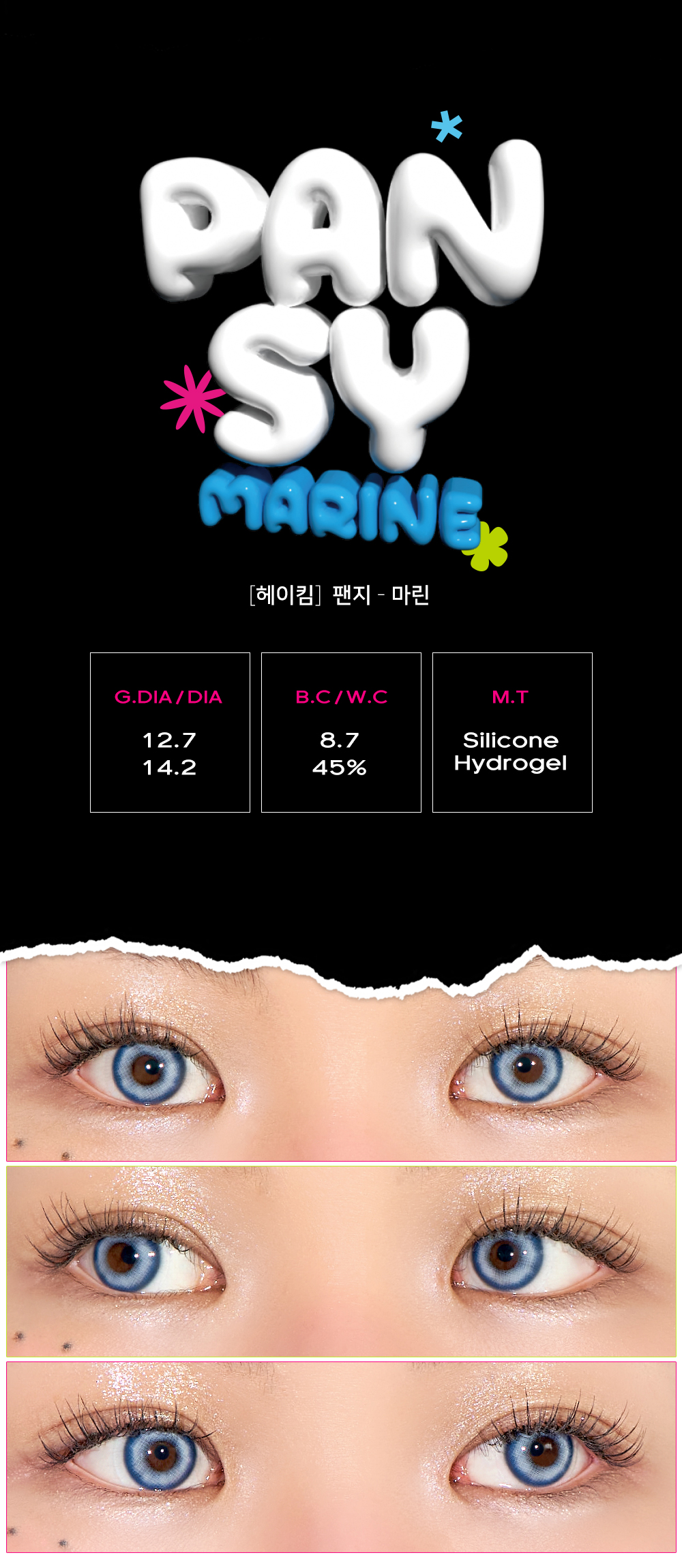 H12_pansy_marine_260907_02.jpg
